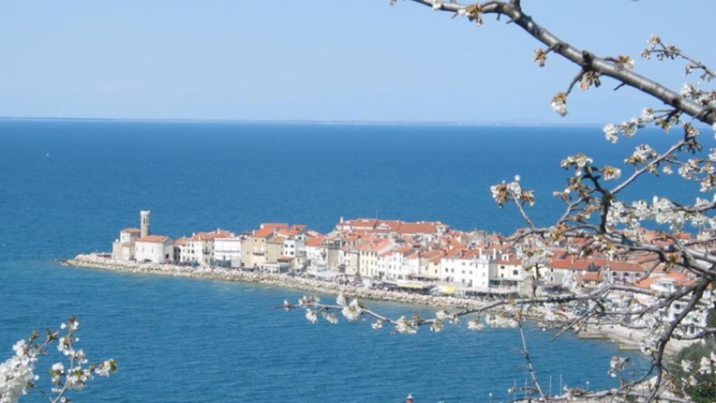 Apartment Hisa 7 Piran Pokoj fotografie